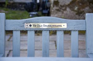 fence sparrowhawk 77.jpg